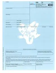 bill of loading